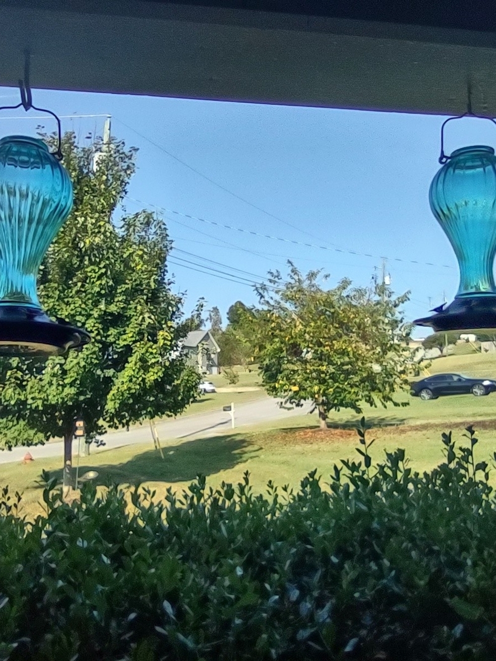 Teal Glass Hanging Hummingbird Feeder - Unbranded